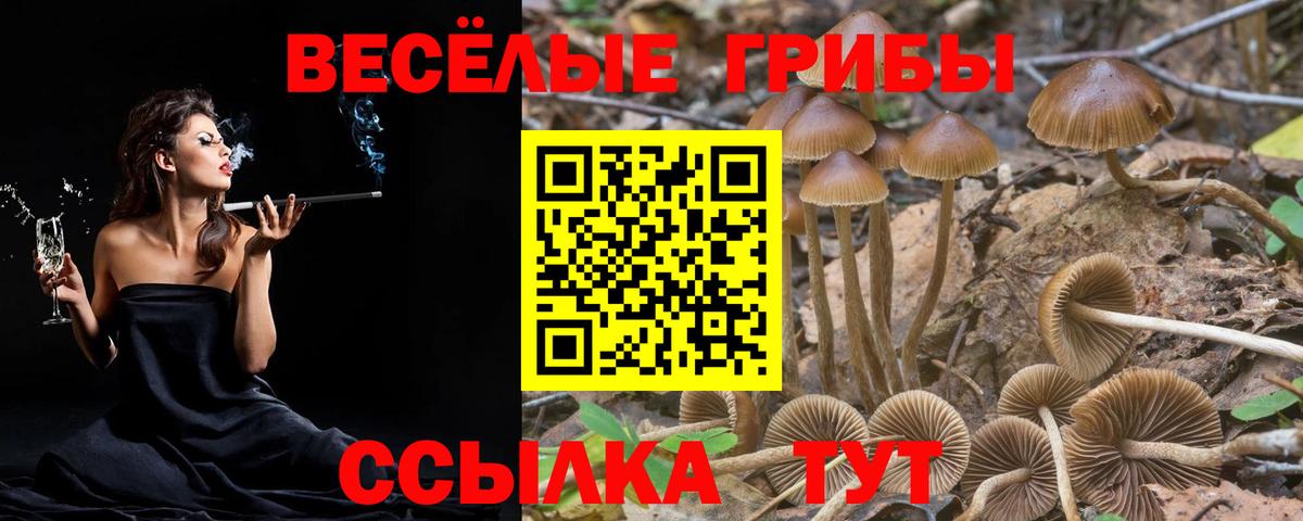 где продают   Галлюциногенные грибы ЛСД  Вход с VPN  Усть-Джегута 
